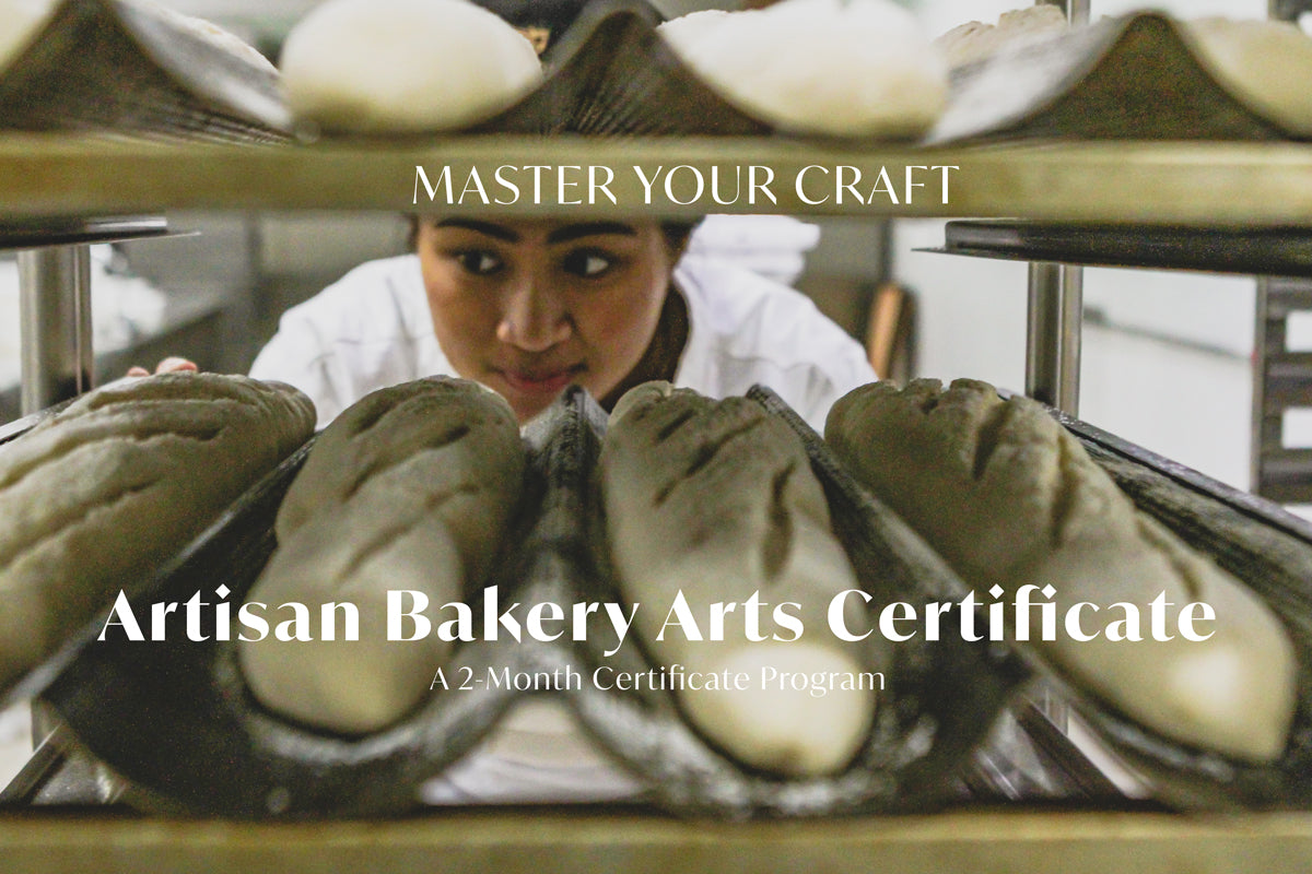 Artisan Bakery Arts Certificate
